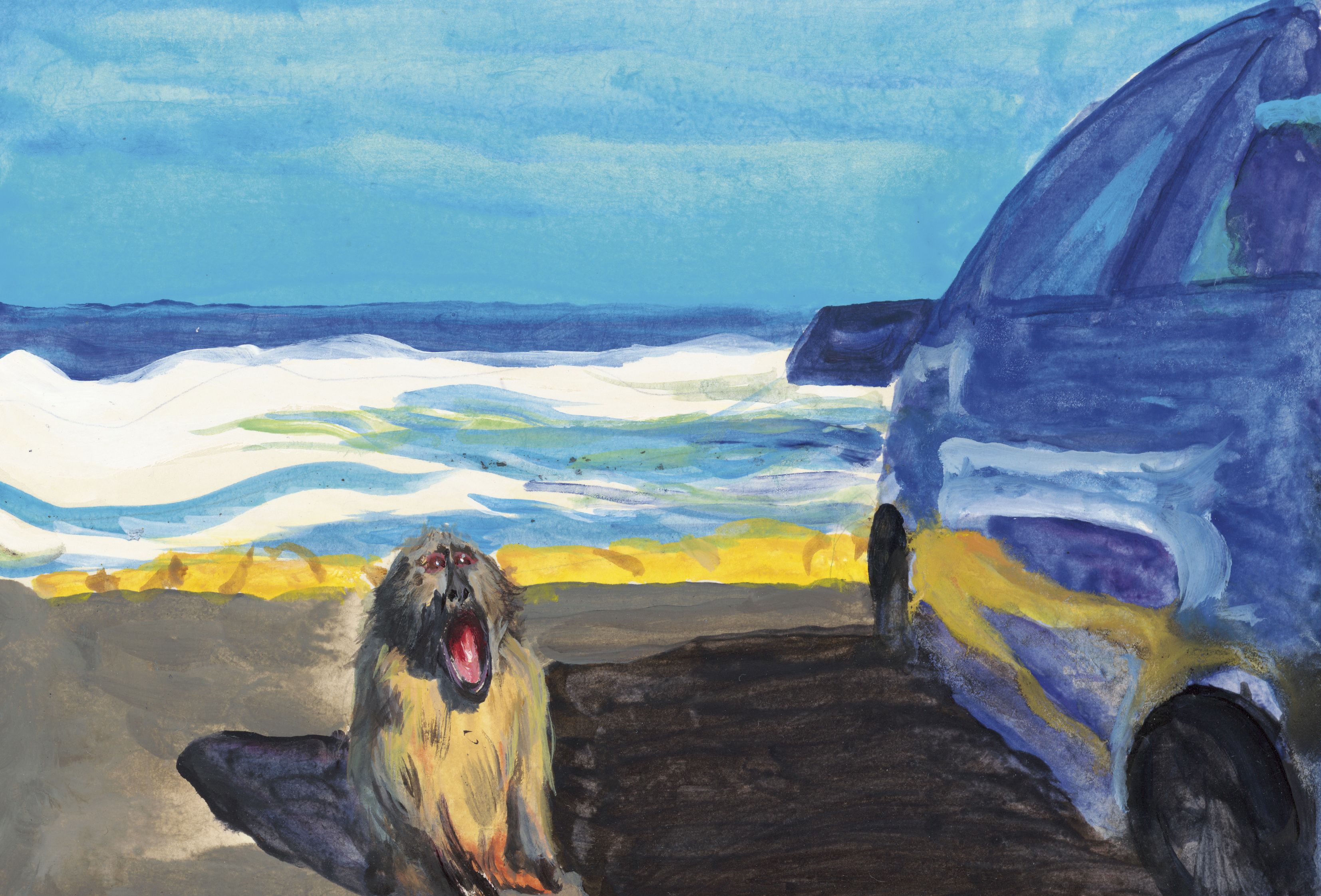 在车旁尖叫的狒狒