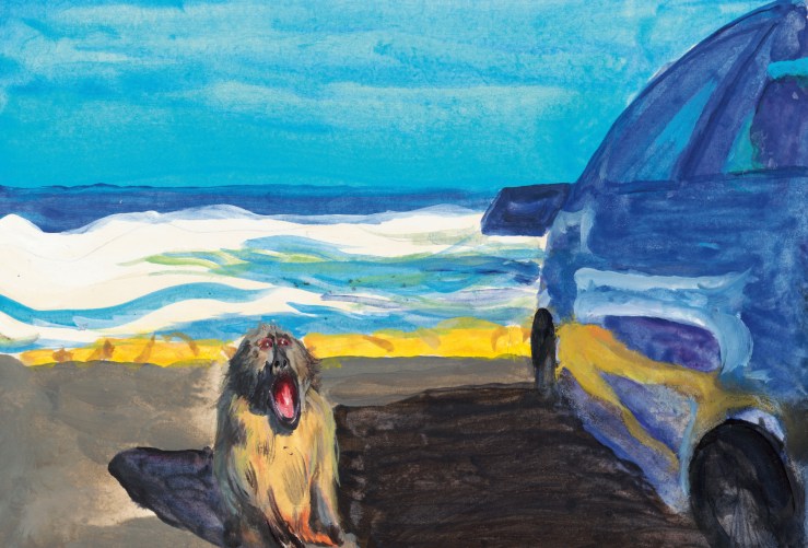 在车旁尖叫的狒狒